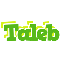 Taleb picnic logo