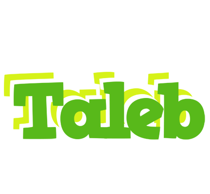 Taleb picnic logo