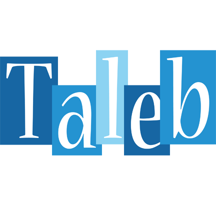 Taleb winter logo