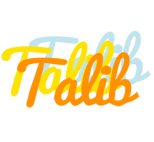 Talib energy logo