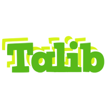Talib picnic logo