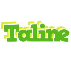 Taline picnic logo