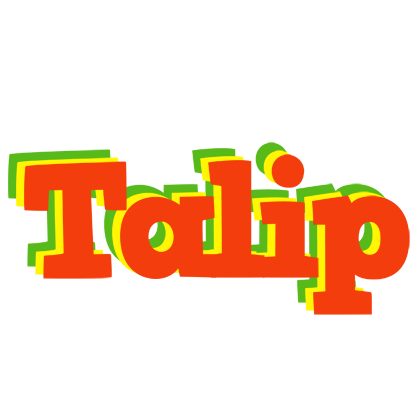 Talip bbq logo