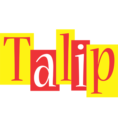 Talip errors logo