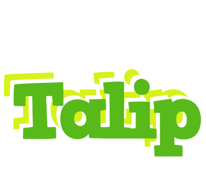 Talip picnic logo