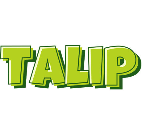 Talip summer logo