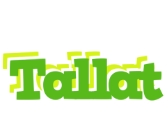 Tallat picnic logo