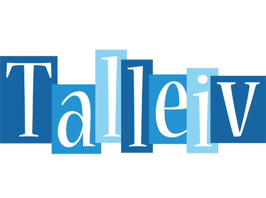 Talleiv winter logo