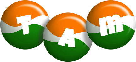 Tam india logo