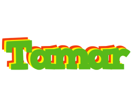 Tamar crocodile logo