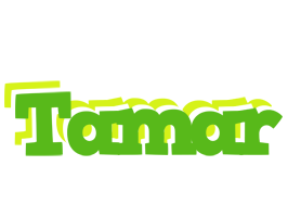 Tamar picnic logo