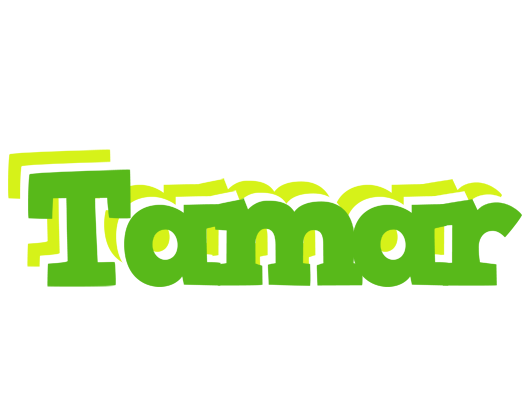 Tamar picnic logo