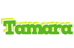 Tamara picnic logo