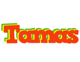 Tamas bbq logo
