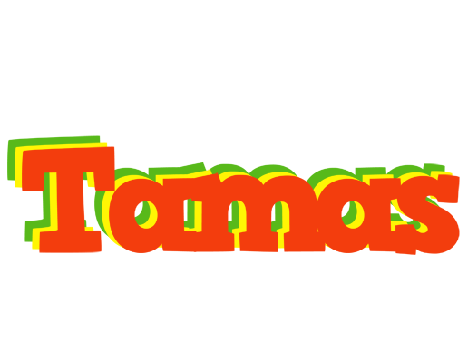 Tamas bbq logo