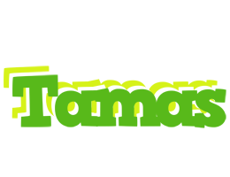 Tamas picnic logo