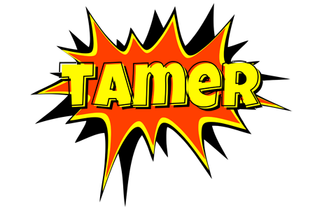 Tamer bazinga logo