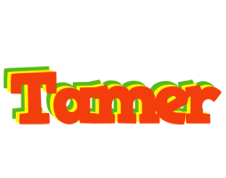 Tamer bbq logo