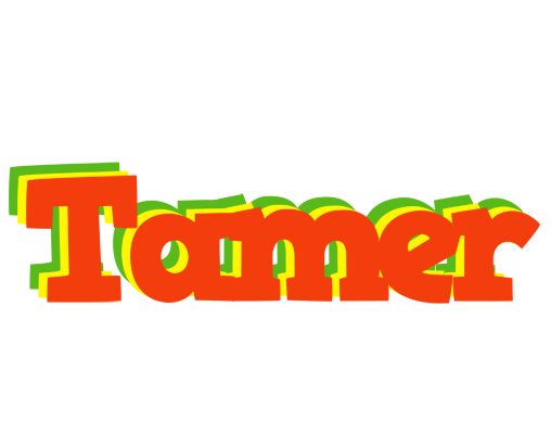 Tamer bbq logo
