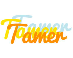 Tamer energy logo