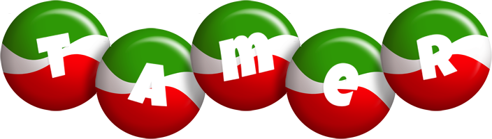 Tamer italy logo