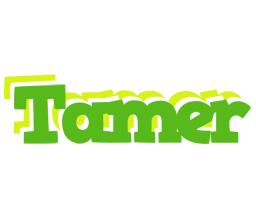 Tamer picnic logo