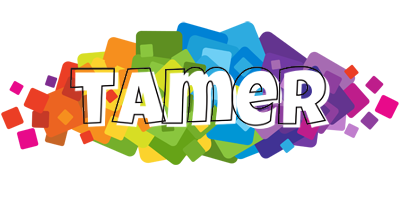 Tamer pixels logo