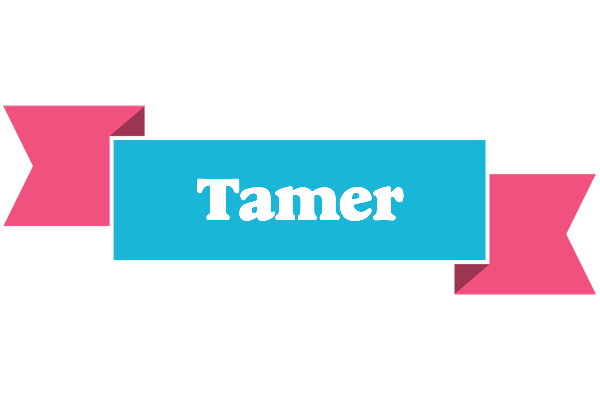 Tamer today logo