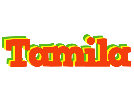 Tamila bbq logo