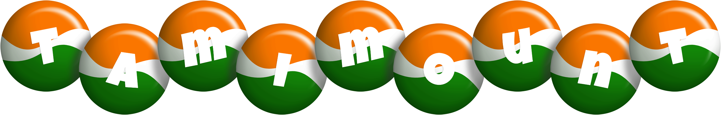 Tamimount india logo