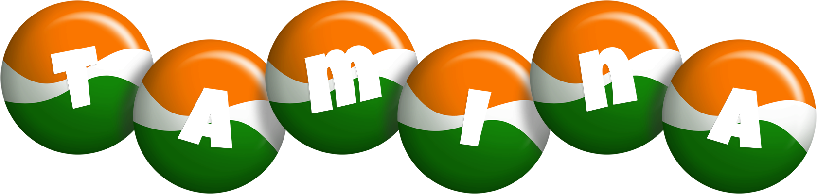 Tamina india logo