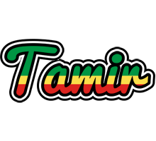 Tamir african logo