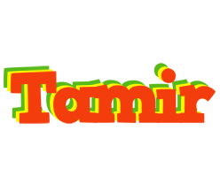 Tamir bbq logo