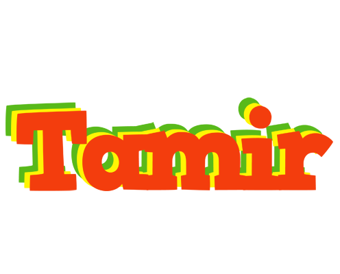 Tamir bbq logo