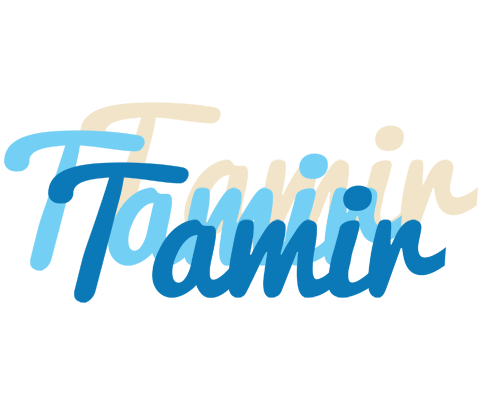 Tamir breeze logo