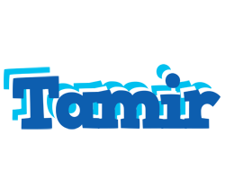 Tamir business logo