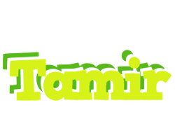 Tamir citrus logo