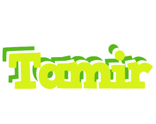 Tamir citrus logo