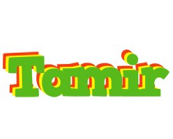 Tamir crocodile logo