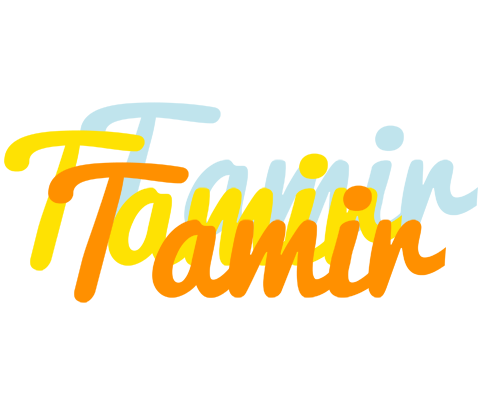 Tamir energy logo
