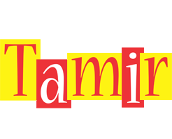 Tamir errors logo