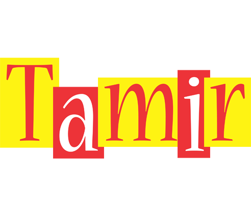 Tamir errors logo