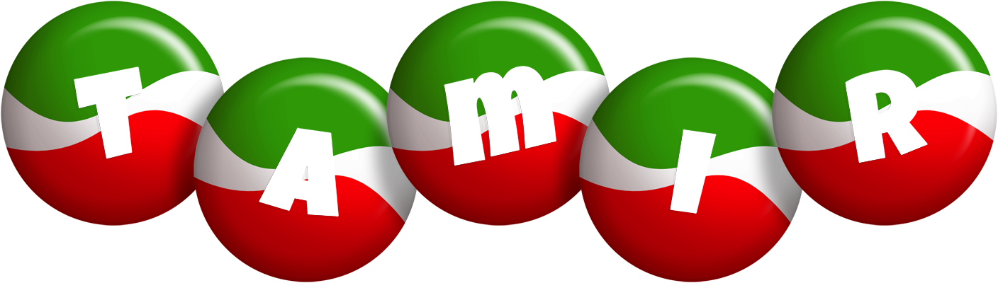 Tamir italy logo