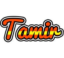 Tamir madrid logo