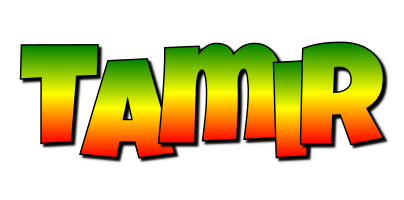 Tamir mango logo