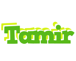 Tamir picnic logo