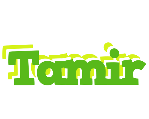 Tamir picnic logo