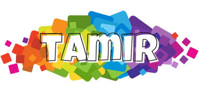 Tamir pixels logo