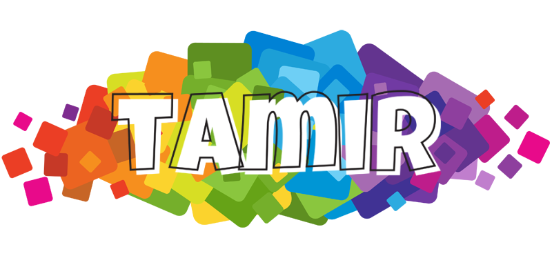 Tamir pixels logo