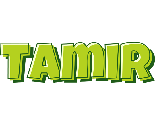 Tamir summer logo